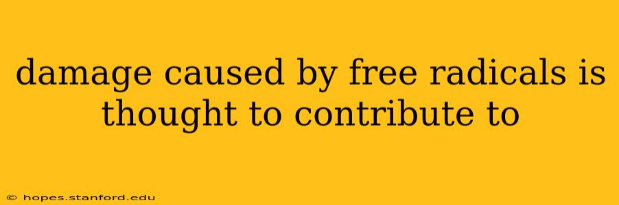 damage caused by free radicals is thought to contribute to