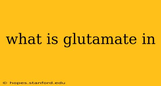 what is glutamate in